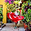 Hotel Las Golondrinas