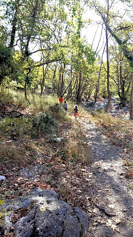 Palio Litochoro The Countryside Lodge