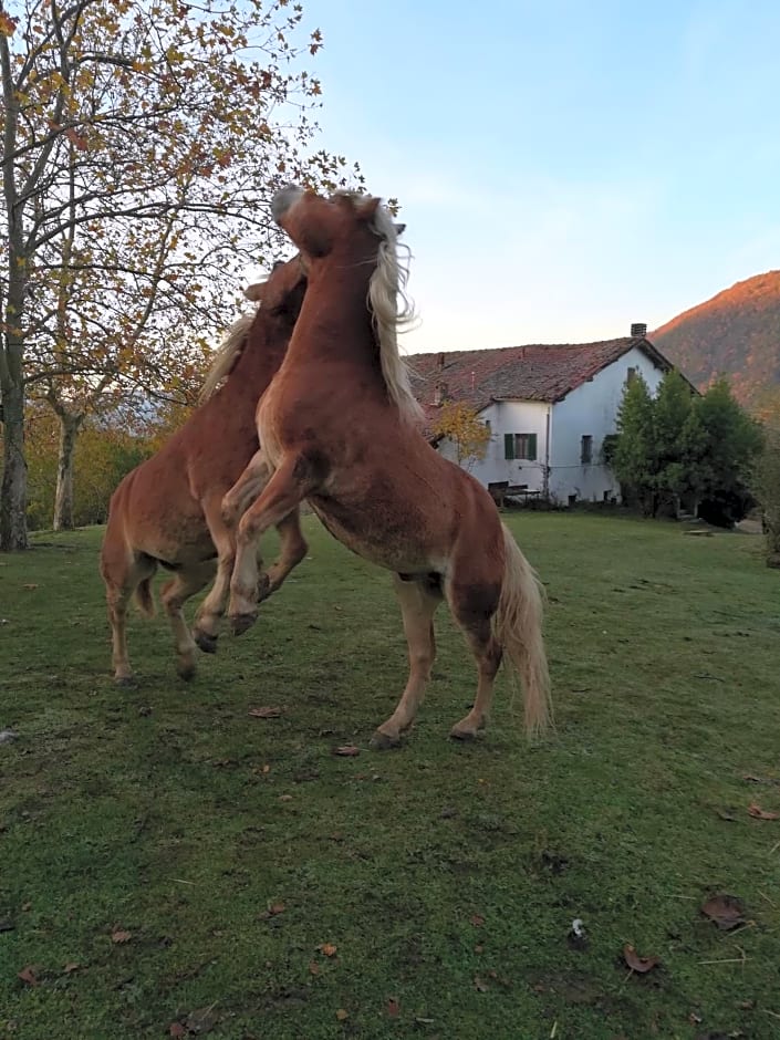 Monte Termine Country House