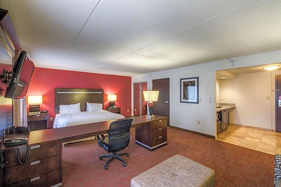 Hampton Inn By Hilton And Suites Detroit/Airport-Romulus