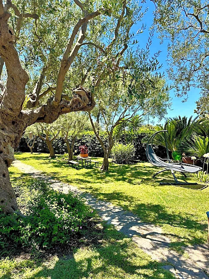 Hotel Boutique Ideal