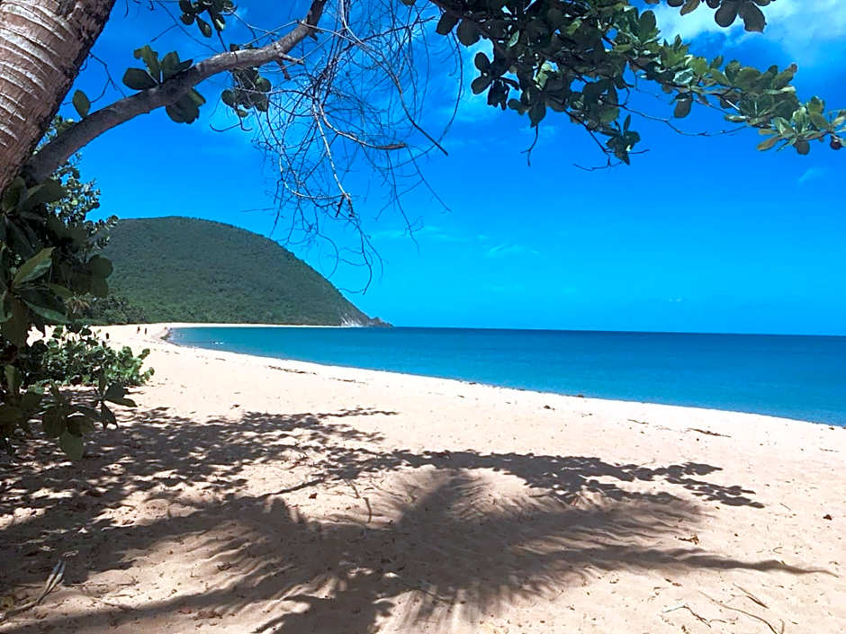 Au Jardin Des Colibris Ecolodge&Spa