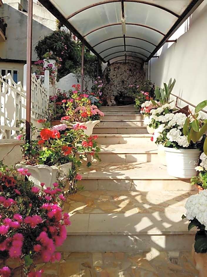 La Scogliera Bed & Breakfast