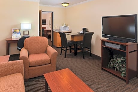 Suite-1 King Bed, Non-Smoking, Business Plus Room, Sofabed, High Speed Internet Access, Full Breakfa