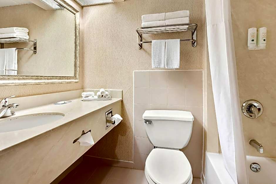 Photo 1 of 11 of Efficiency 1 King Bed Suite