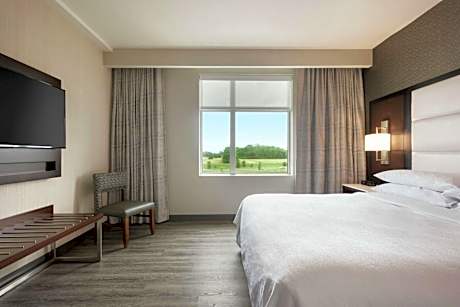 1 King Bed 2 Room Suite