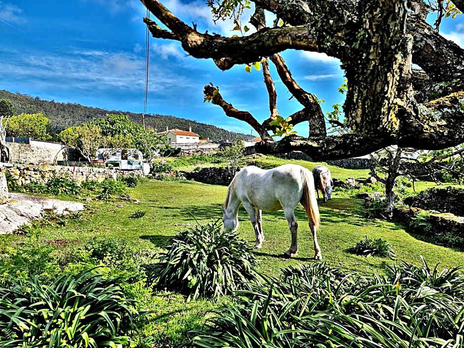 Albergue Casa do Sardão