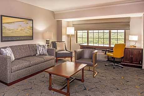 Executive King Suite with Sofa Bed and Roll-In Shower - Club Level/Mobility/Hearing Accessible