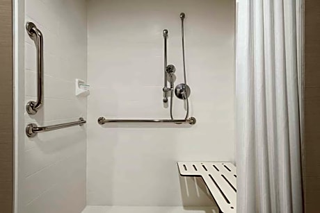 1King Accessible Roll In Shower Suite Nonsmok