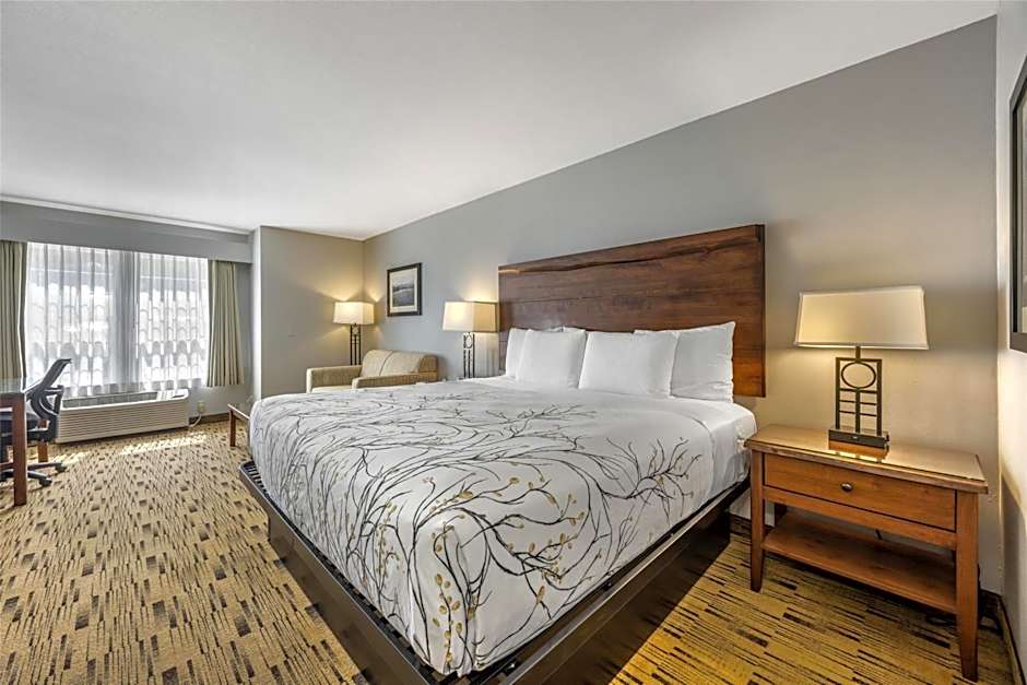 Photo 1 of 8 of 1 King Bed, Accessible