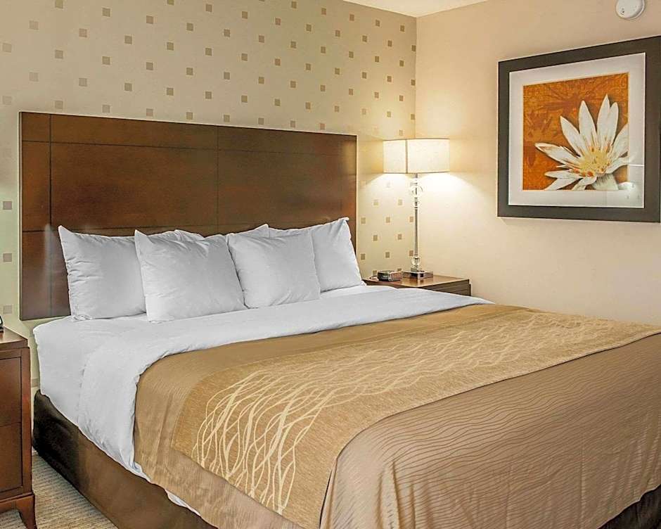 Comfort Inn Bloomington near University