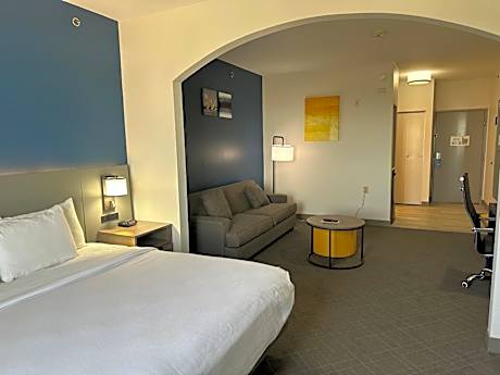 Suite King Bed Non Smoking