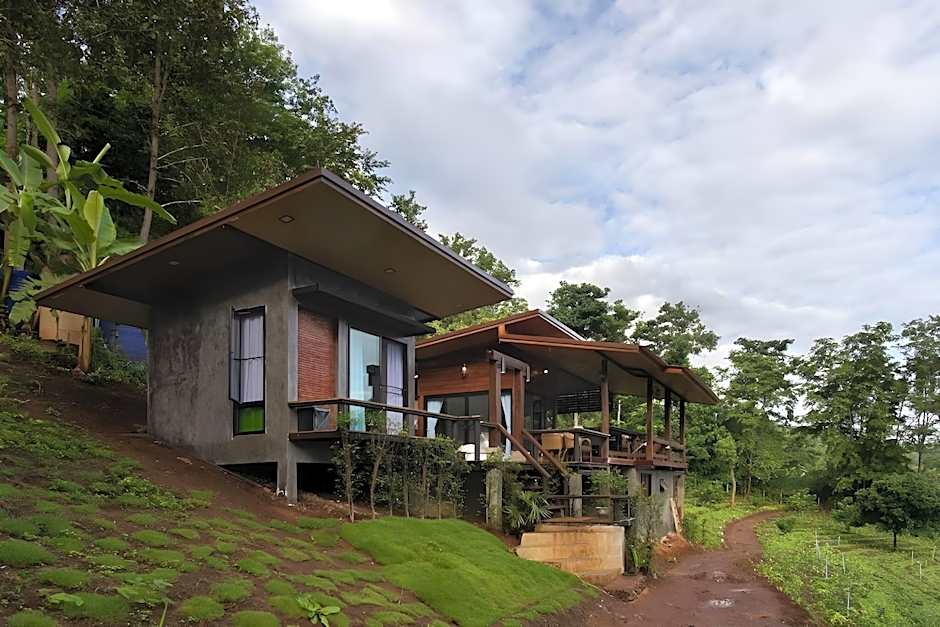Chiang Mai Elephant Friends