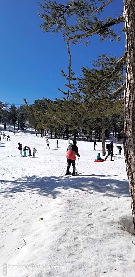 Ble Mavi - Studio for 2