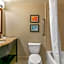 Comfort Inn & Suites Nashville Franklin Cool Springs