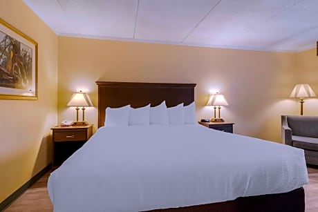 1 DOUBLE BED,MOBILITY ACC,COMMASSIST,ROLL SHWR,NSMK,CONTINENTAL BREAKFAST
