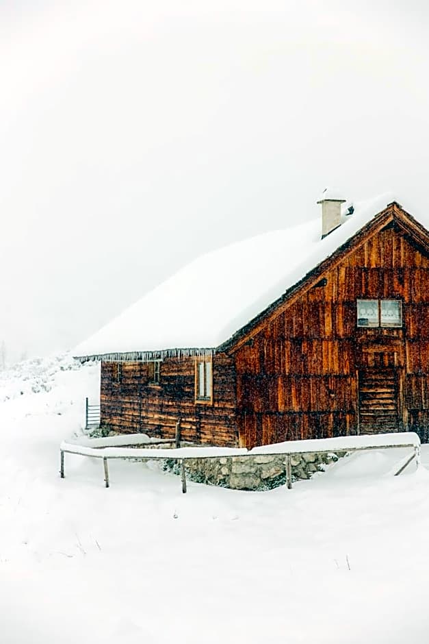 Gjaid-Alm 1739m am Dachstein-Only Accessible by Cable Car