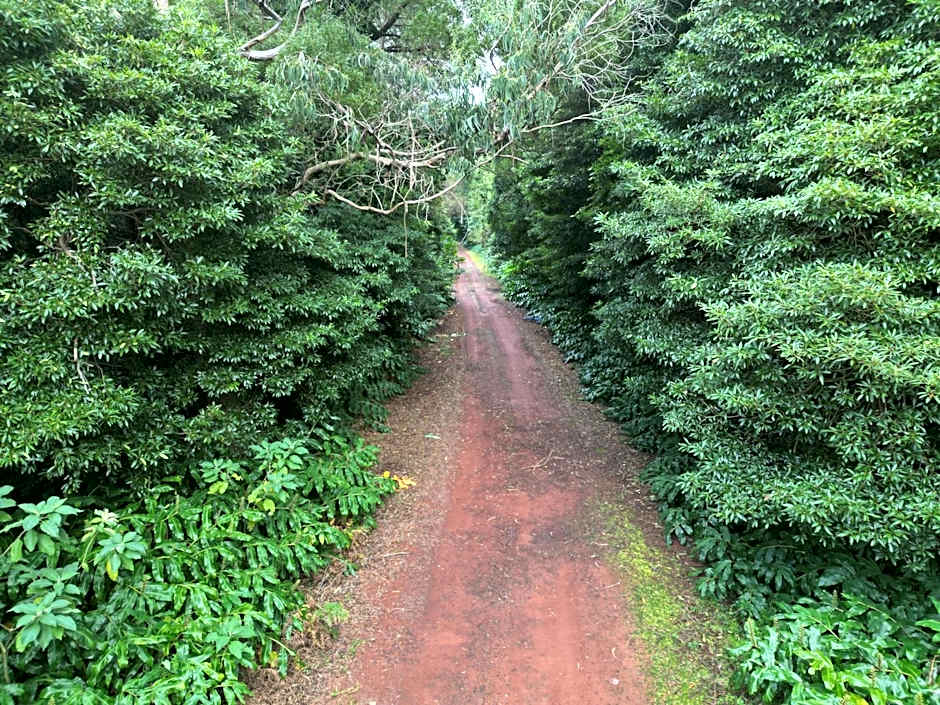 Caparica Azores Ecolodge
