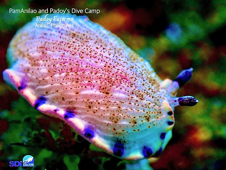 PamAnilao and Padoy's Dive Camp