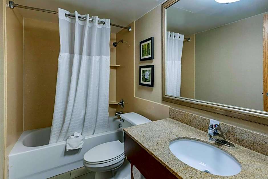 Comfort Inn Lansing West