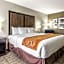 Comfort Inn North Dallas Near the Galleria