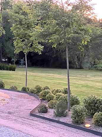 Three-Bedroom Apartment - High Floor