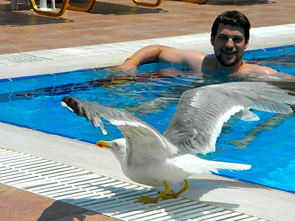 Hotel Andreas - Agistri (Skala)