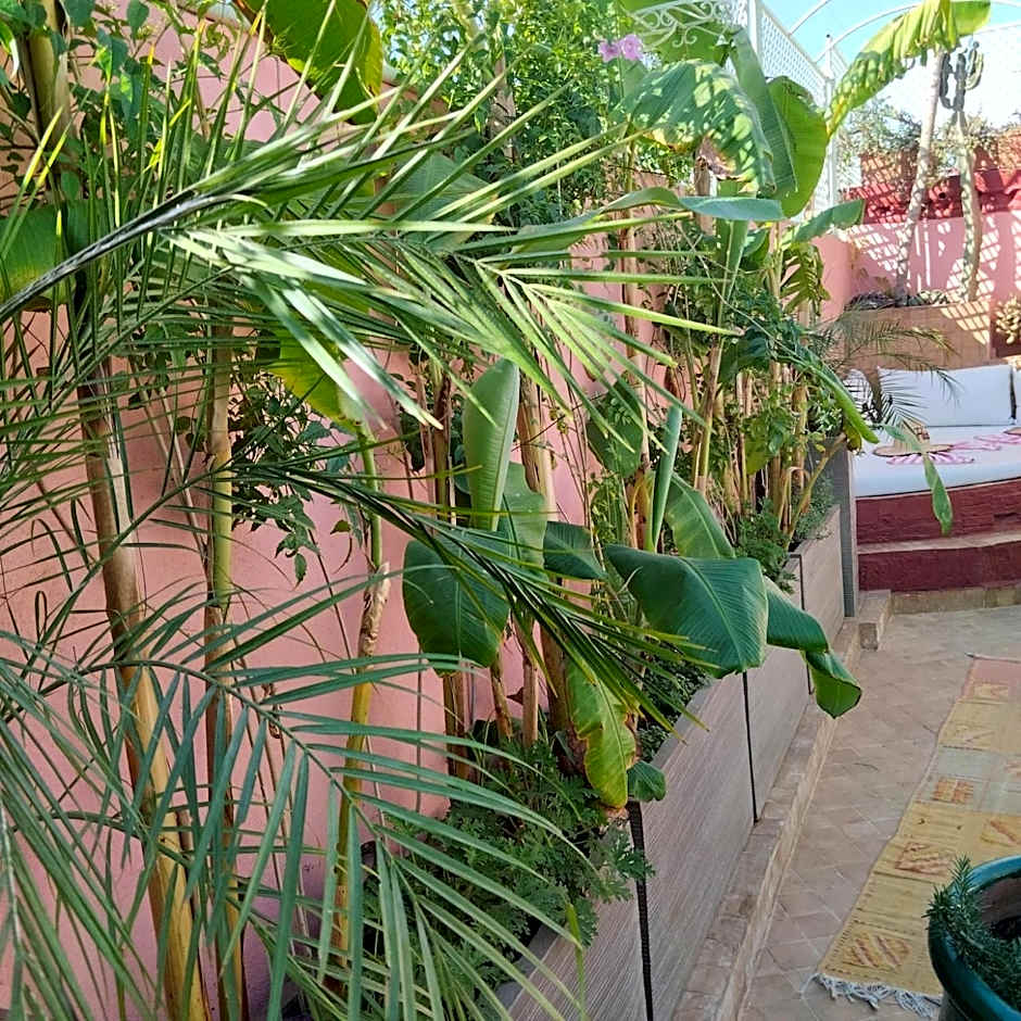 Riad Laith