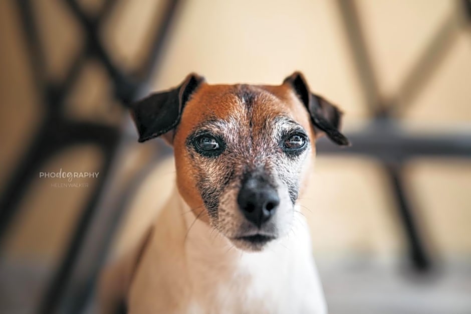 B&B DOMU INCANTO Sa Domu sarrabesa