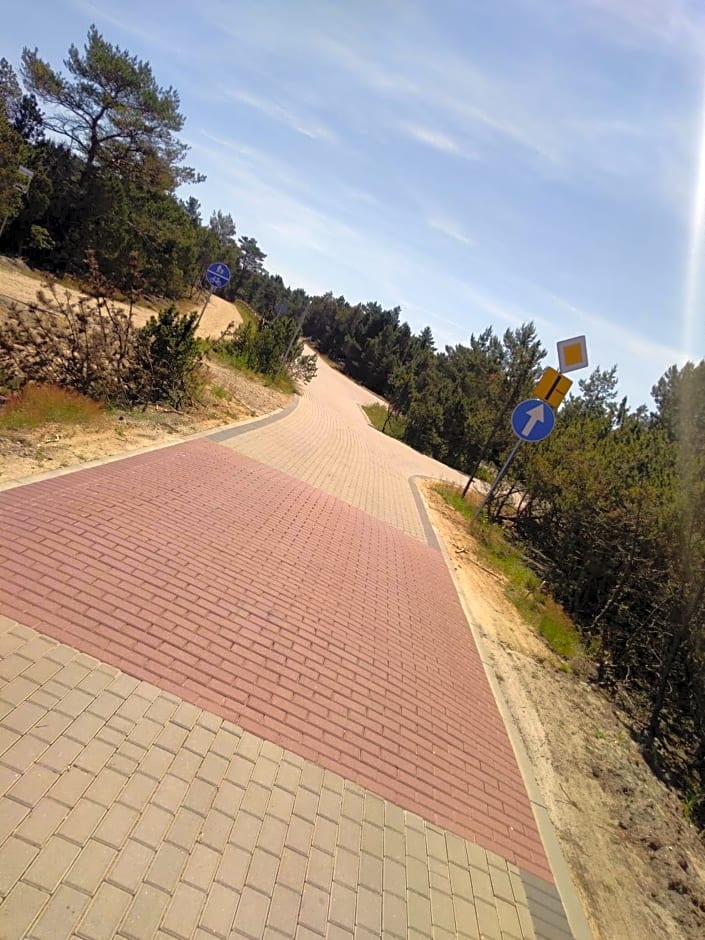 Niezapominajka Kopalino