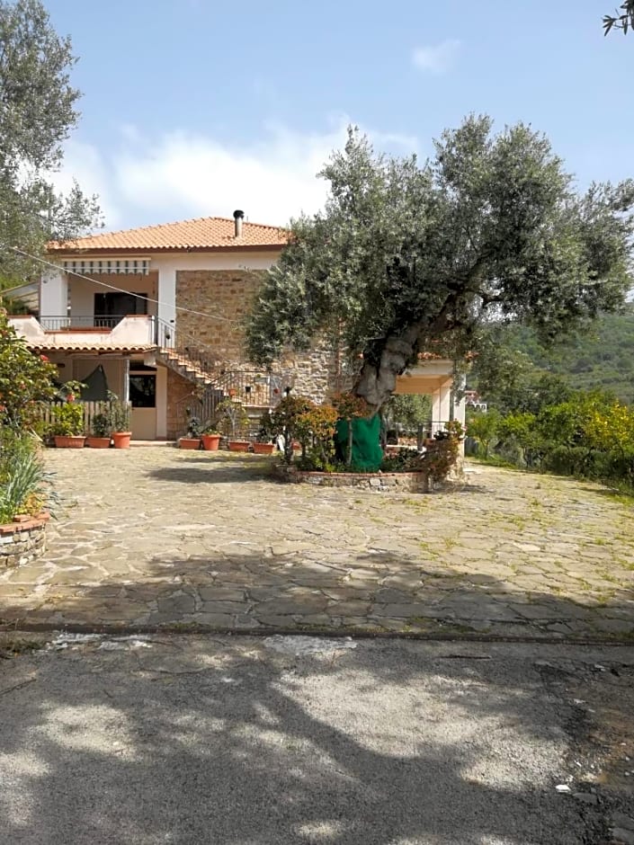 Il Conte Di Marraone