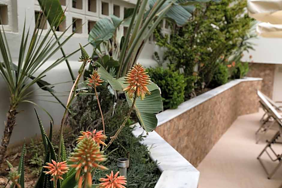 Anita Beach Hotel- Adults Only