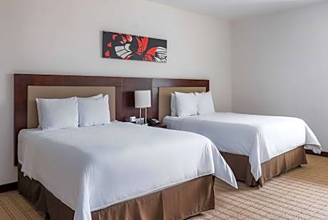 Queen Room - Disability Access / Non-Smoking