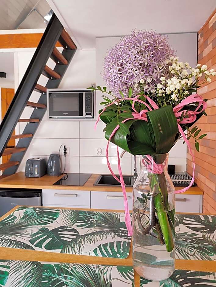 Lawendowo- sauna, jacuzzi, domki w ogrodzie i apartamenty w kamienicy