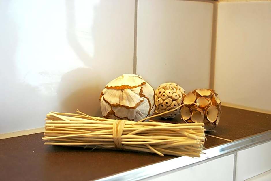 Alm Appartements ehemals Birkenhof