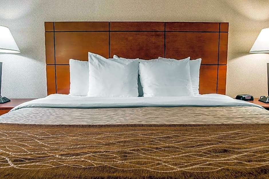 Comfort Inn & Suites University South