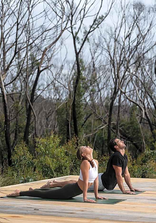 Chalets at Blackheath