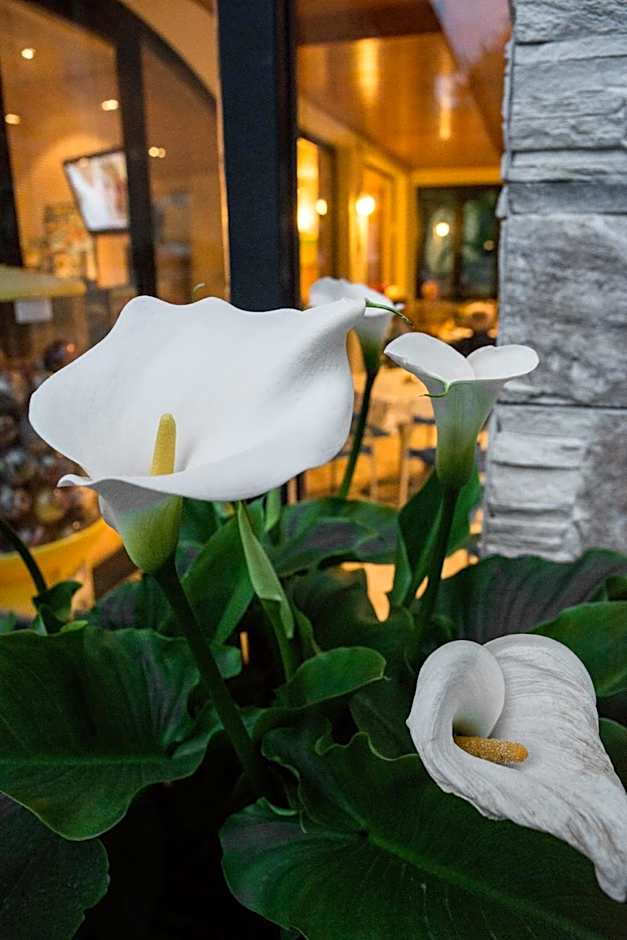 Hotel Fiordaliso