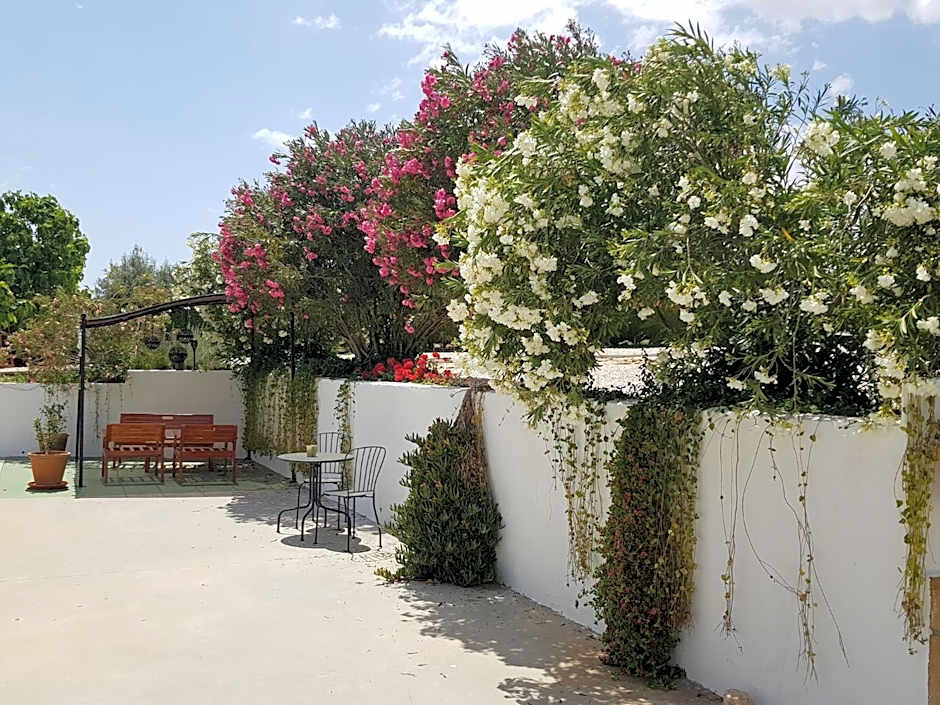 Casita of Casa Olivar