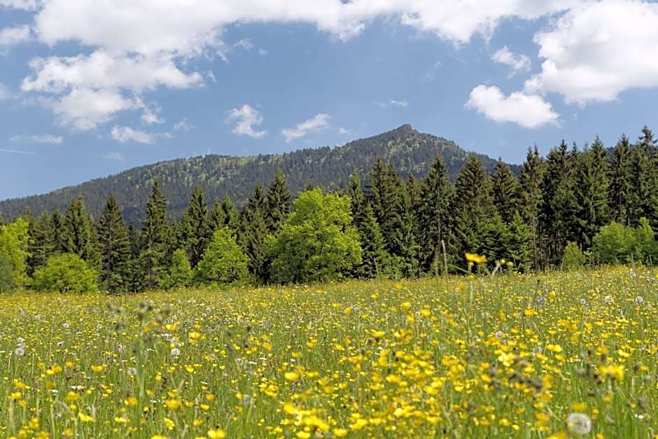 Osserhotel - B&B am Osser