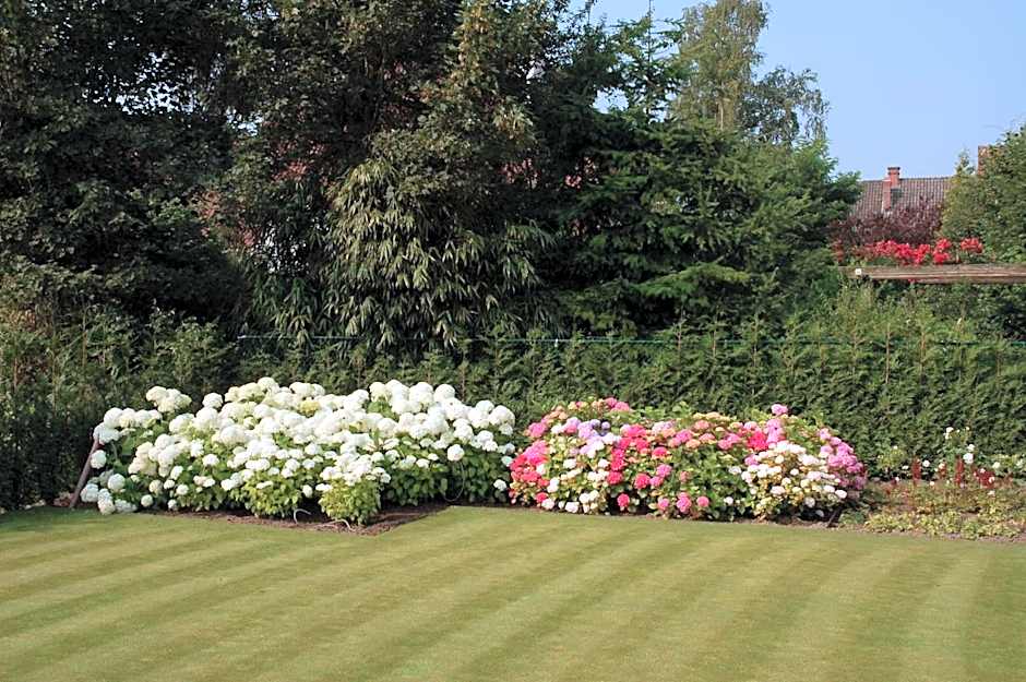 B&B Bloemenweelde