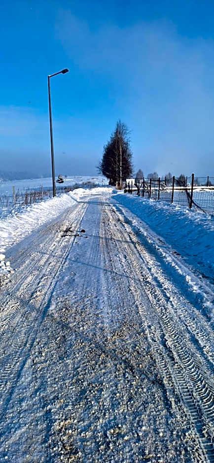 Willa u Kośle Zakopane sauna i bilard