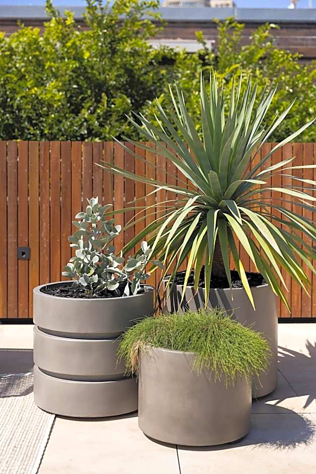 Regents Court Sydney