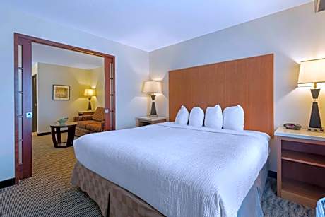 Suite-1 King Bed, Non-Smoking, Sofabed, Two Televisions, Microwave And Refrigerator, Welcome Snack B
