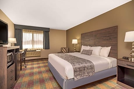 1 King Bed Non-Smoking