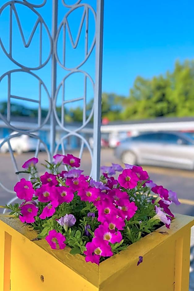 Stiles Motel Hill View