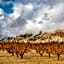 Grand Vista Hotel-Grand Junction