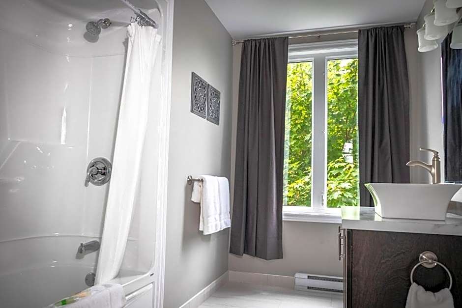 Newfound Inn & Suites