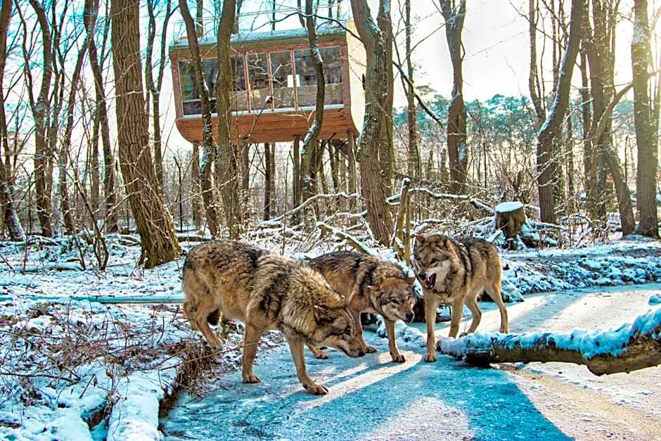 Tree Inn - Das Baumhaushotel