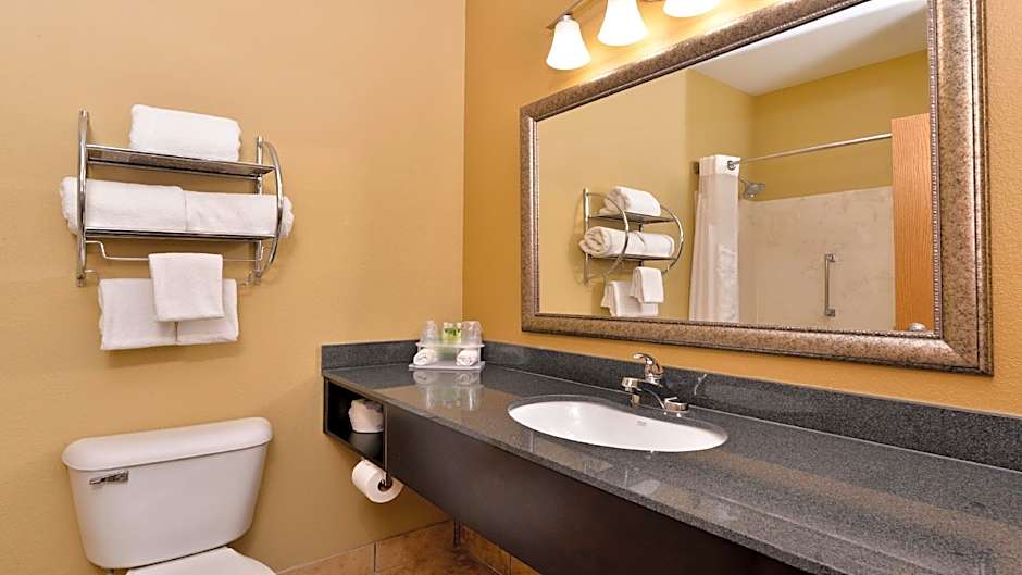 Comfort Inn & Suites Sharonville - Cincinnati North